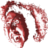 Gene Wilder